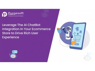 AI ChatBot Integration In Your Ecommerce Store