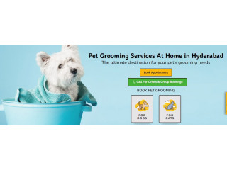 Pet Grooming Hyderabad - OH My Pet Grooming