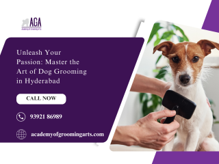 Master the Art of Pet Care with Dog Grooming Courses in Hyderabad