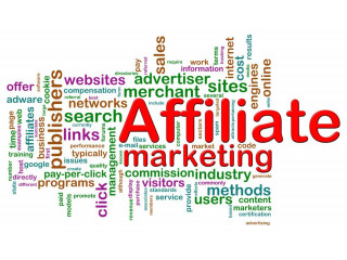 BEdigitech: Leading Affiliate Marketing Agency in India for 2024
