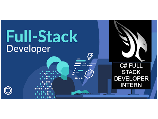 Full Stack Programming Internship Program