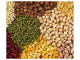 Wholesale Pulses Prices