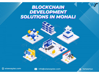 Leading Blockchain Development Company in Mohali | Wisewaytec