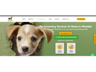 Pet Grooming Mumbai - OH My Pet Grooming