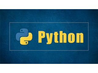 Meet the Instructors: Experts Leading Python Courses in Rohini