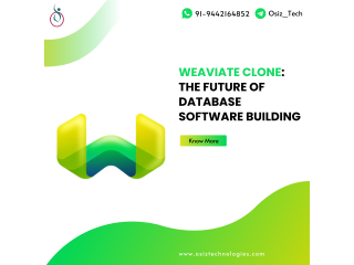 Weaviate Clone: The Future of Database Software Building
