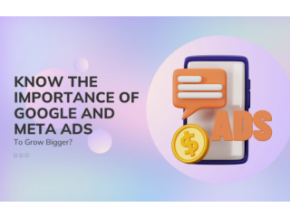 Advantages of Google Ads and Meta Ads | Liveblack
