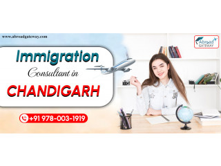 Trusted Immigration Consultants in Chandigarh