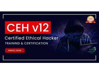 Ace Your Certification with Expert CEH Exam Training - Enroll Today