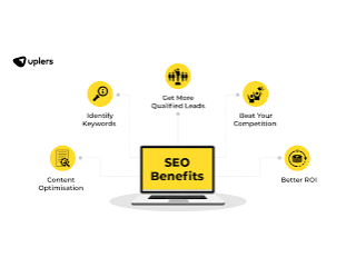 Boost Rankings and Traffic with Professional Seo Services in India