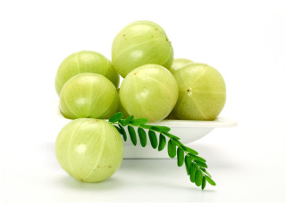 Amla Extract Manufacturers and Suppliers in India