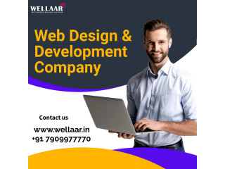 Web Development Company In India | Wellaar
