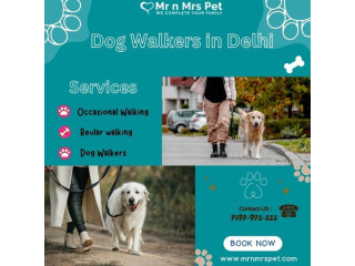 The Best Dog Walkers in Delhi