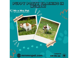 Professional Puppy Potty Training in Mumbai