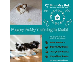The Best Puppy Potty Training in Delhi