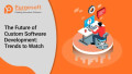 the-future-of-custom-software-development-trends-to-watch-small-0