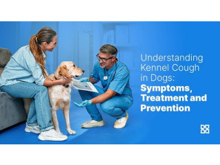 Health Kennel Cough in Dogs (Symptoms, Treatment, and Prevention)