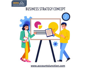 Achieve Business Success with Accounts Junction's Expert Plan Preparation in India