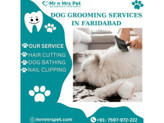 Find Professional Dog Grooming Services in Faridabad