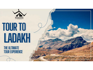 Explore Ladakh's stunning landscapes, monasteries, and culture on a memorable tour