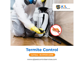 Termite control services In Hyderabad