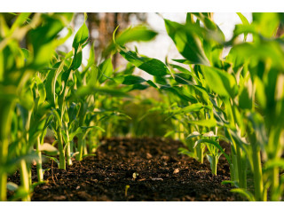 Soil Health Restoration and Maintenance: Best Practices for Farmers