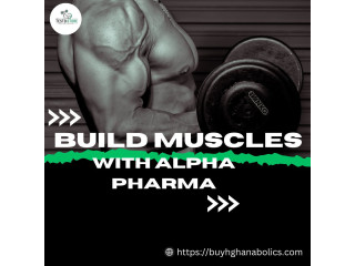 Buy Alpha Pharma Steroids Online In USA | The Testo Store