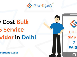 Low Cost Bulk SMS Service Provider in Delhi | Shree Tripada