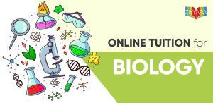 online-biology-home-tuition-helping-students-excel-and-easing-parental-anxiety-big-0