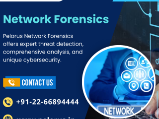 Network Forensics | Mobile Forensics