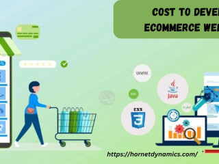 Cost to develop eCommerce Website