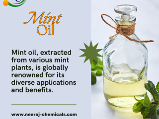 Mint Oil Wholesalers In India