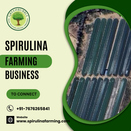 spirulina-farming-business-big-0