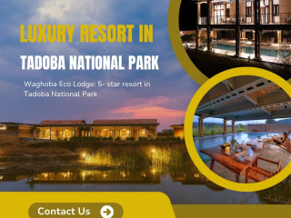 Luxury Resort in Tadoba National Park