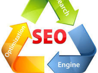 Affordable SEO Success in Noida: Expert Services to Elevate Your Online Visibility