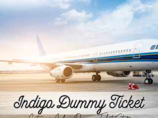 Indigo Dummy Ticket