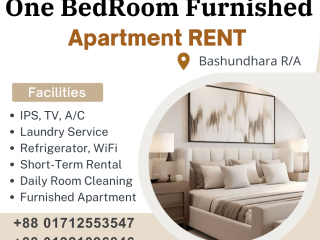 Renting A furnished 1BHK Apartment In Bashundhara R/A