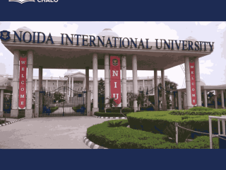 Noida International University