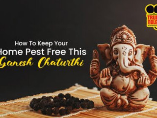 How to clean and keep your home pest-free before Ganesh Chaturthi?