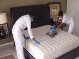 Tricity Cleaners Expert Mattress Cleaning Services