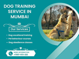 The Best Dog Training Service in Mumbai