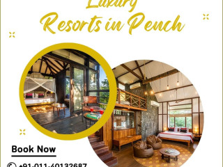 Luxury Resorts in Pench