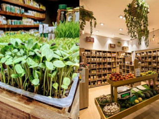 Top 5 organic grocery online store