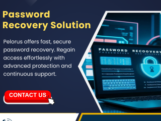 Password Recovery Solution