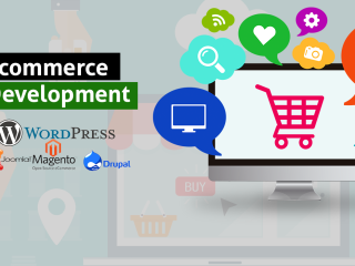 Custom E-Commerce Website Development by Adaan Solutions