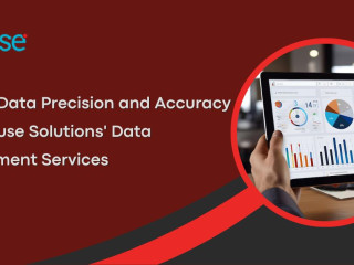 Achieve Data Precision and Accuracy with EnFuse Solutions' Data Management Services