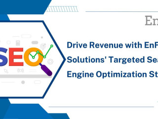 Drive Revenue with EnFuse Solutions' Targeted Search Engine Optimization Strategies