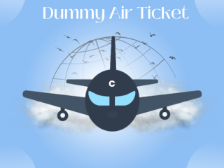 Dummy Air Ticket