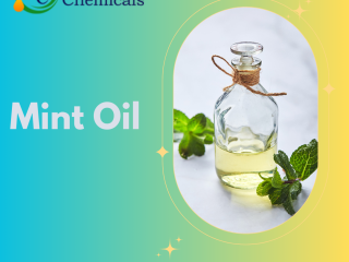 Mint Oil Wholesalers in India