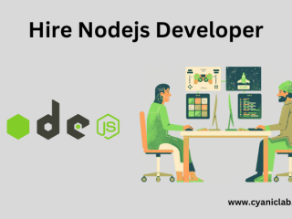 Hire Node.js Developers